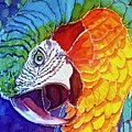 Rainforest Regalia