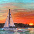 Sunset Sail